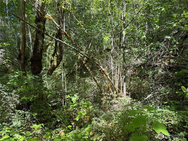 0 Chuckawa Lane SE, Yelm, WA 98597