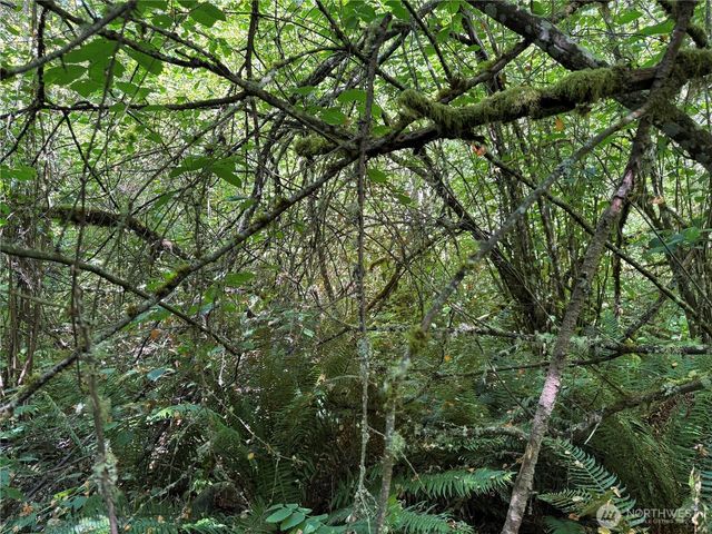 0 Chuckawa Lane SE, Yelm, WA 98597