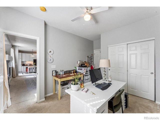 228 Muscovey Lane, Johnstown, CO 80534