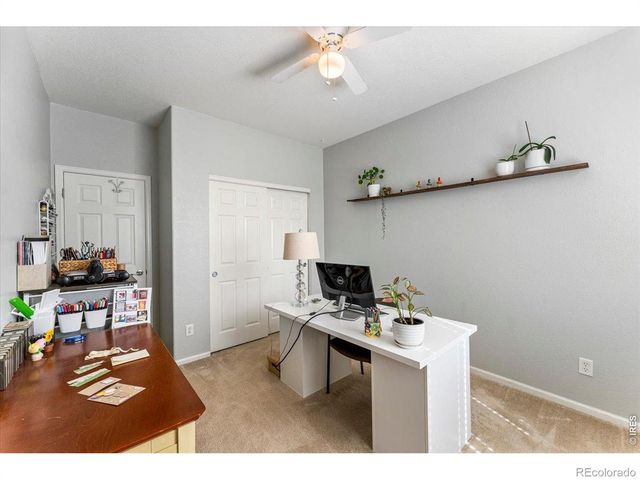 228 Muscovey Lane, Johnstown, CO 80534