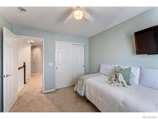 228 Muscovey Lane, Johnstown, CO 80534