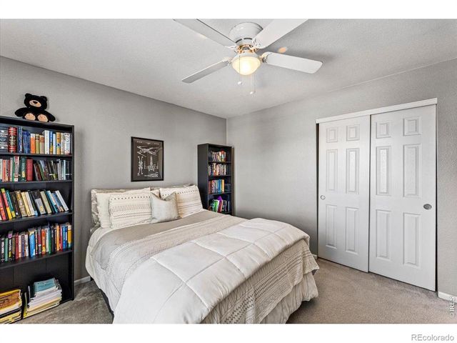 228 Muscovey Lane, Johnstown, CO 80534