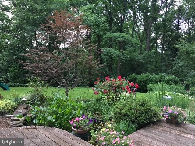 6534 JAY MILLER DR, Falls Church, VA 22041