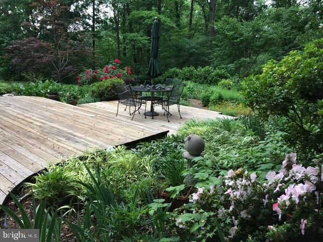 6534 JAY MILLER DR, Falls Church, VA 22041