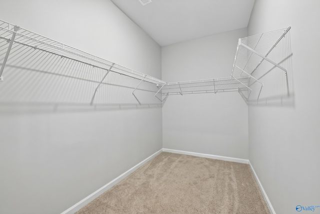 201 Saddle Street, New Market, AL 35761