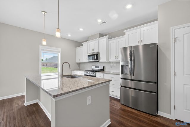201 Saddle Street, New Market, AL 35761