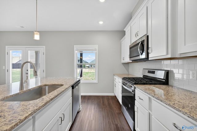 201 Saddle Street, New Market, AL 35761