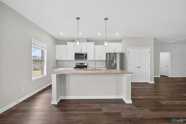 201 Saddle Street, New Market, AL 35761