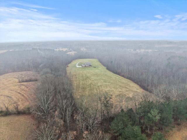 950 Puncheon Branch Rd, Minor Hill, TN 38473