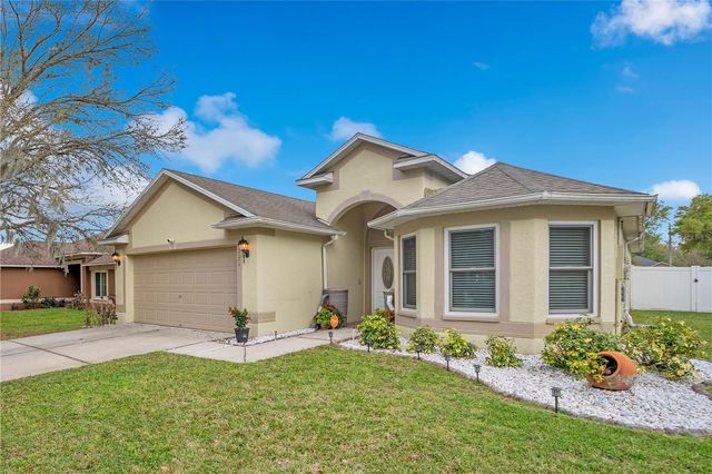 2724 BUCKHORN PRESERVE BOULEVARD, Valrico, FL 33596