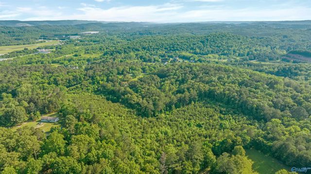 4 Acres Wills Creek Road, Fort Payne, AL 35968