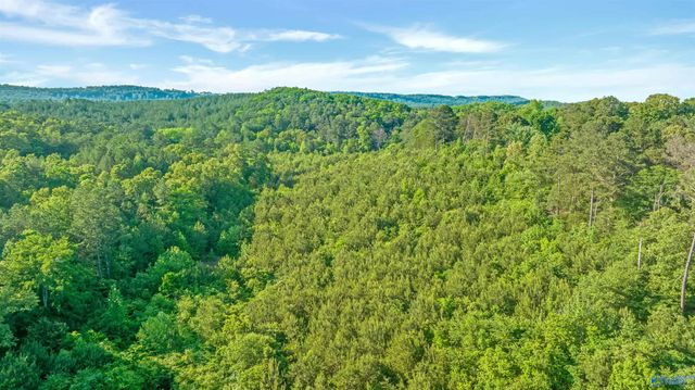 4 Acres Wills Creek Road, Fort Payne, AL 35968