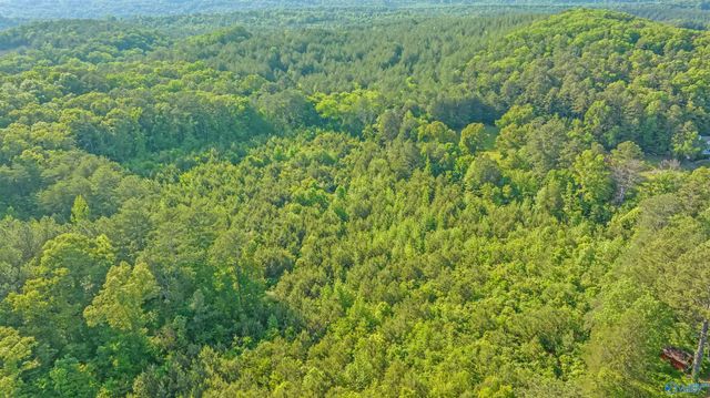 4 Acres Wills Creek Road, Fort Payne, AL 35968