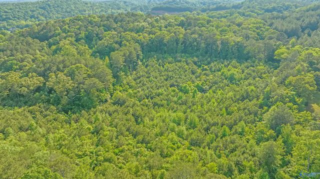 4 Acres Wills Creek Road, Fort Payne, AL 35968