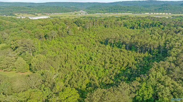 4 Acres Wills Creek Road, Fort Payne, AL 35968