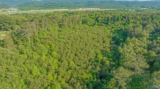 4 Acres Wills Creek Road, Fort Payne, AL 35968