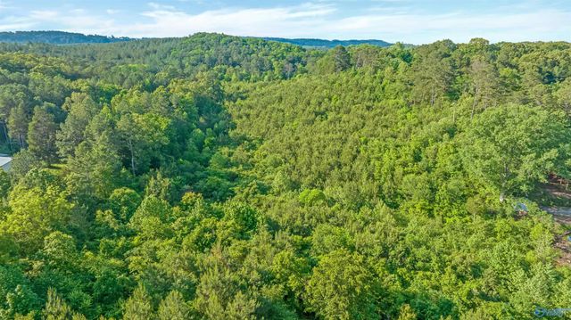 4 Acres Wills Creek Road, Fort Payne, AL 35968