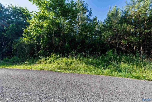 4 Acres Wills Creek Road, Fort Payne, AL 35968