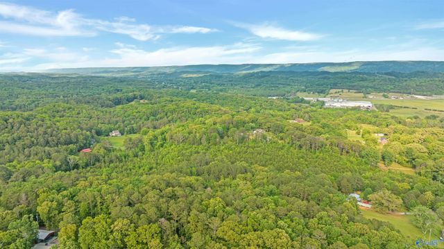 4 Acres Wills Creek Road, Fort Payne, AL 35968