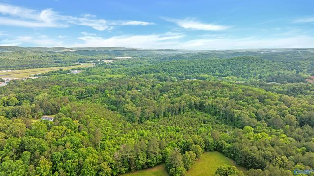 4 Acres Wills Creek Road, Fort Payne, AL 35968