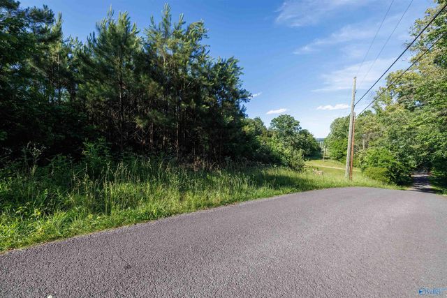 4 Acres Wills Creek Road, Fort Payne, AL 35968