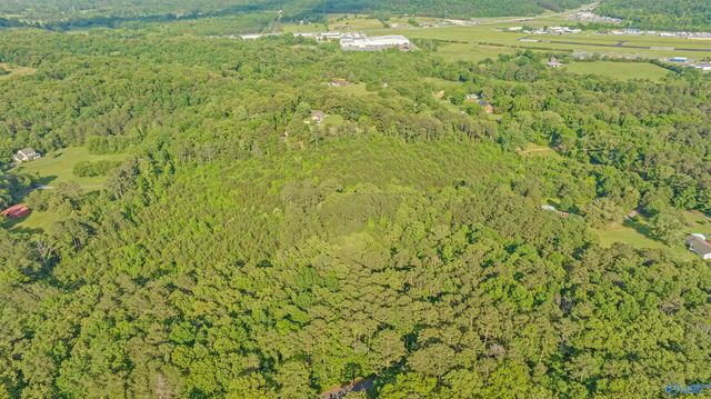 4 Acres Wills Creek Road, Fort Payne, AL 35968