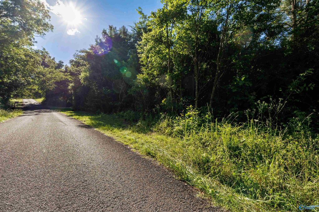 4 Acres Wills Creek Road, Fort Payne, AL 35968