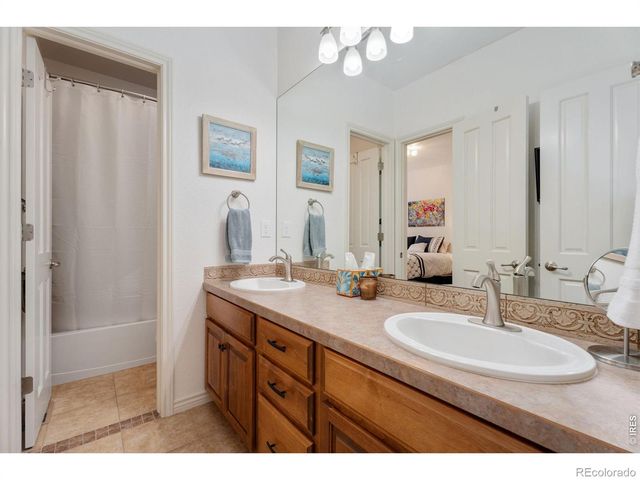 1443 Folsum Drive, Windsor, CO 80550