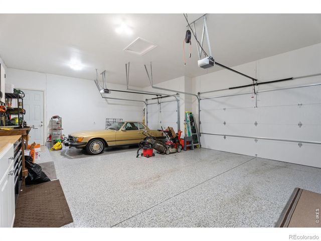 1443 Folsum Drive, Windsor, CO 80550