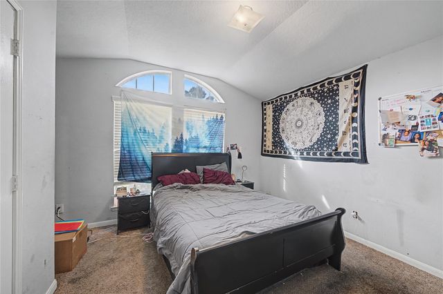 21110 Brushy Canyon Drive, Houston, TX 77073