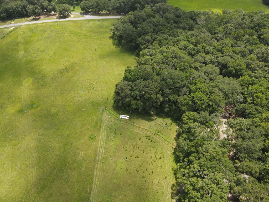 Image 13 of property listing at 3928 E Co Highway 181, Westville, FL 32464