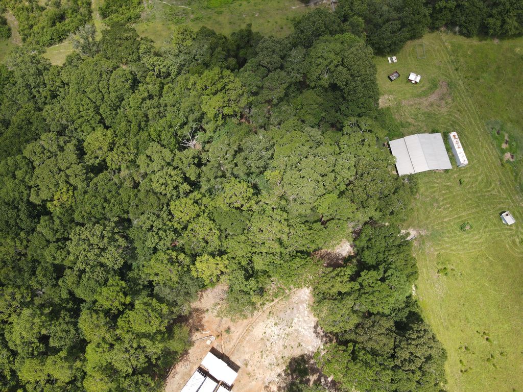 Image 14 of property listing at 3928 E Co Highway 181, Westville, FL 32464