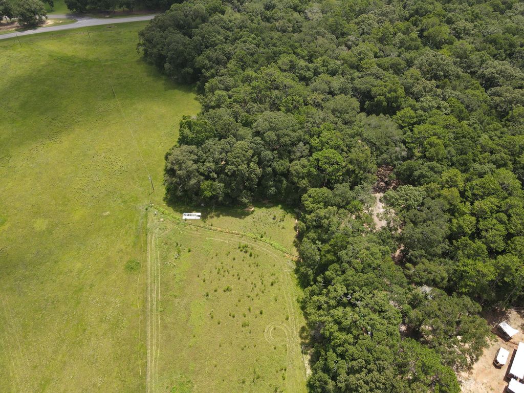 Image 16 of property listing at 3928 E Co Highway 181, Westville, FL 32464