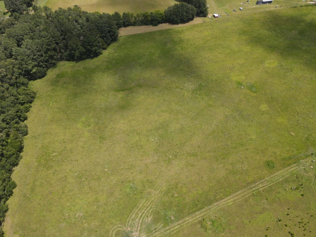 Image 18 of property listing at 3928 E Co Highway 181, Westville, FL 32464