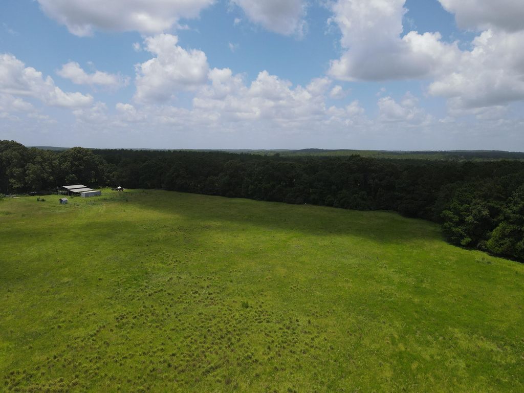 Image 21 of property listing at 3928 E Co Highway 181, Westville, FL 32464