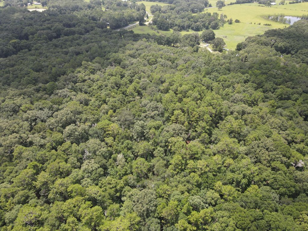 Image 3 of property listing at 3928 E Co Highway 181, Westville, FL 32464