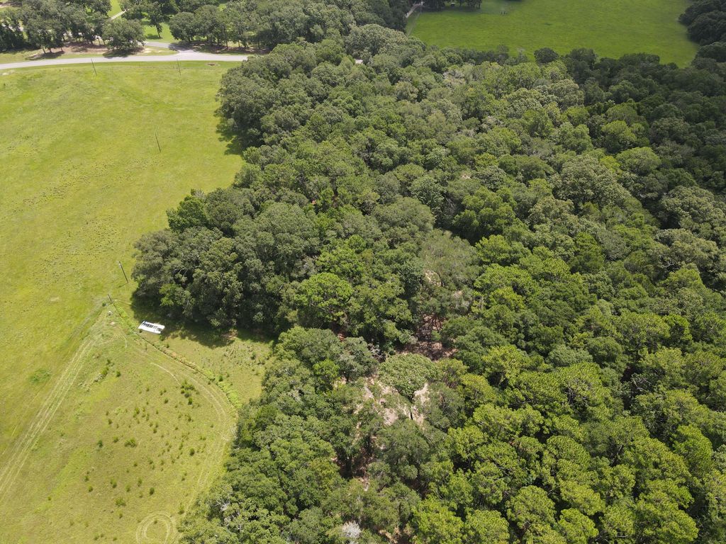 Image 4 of property listing at 3928 E Co Highway 181, Westville, FL 32464