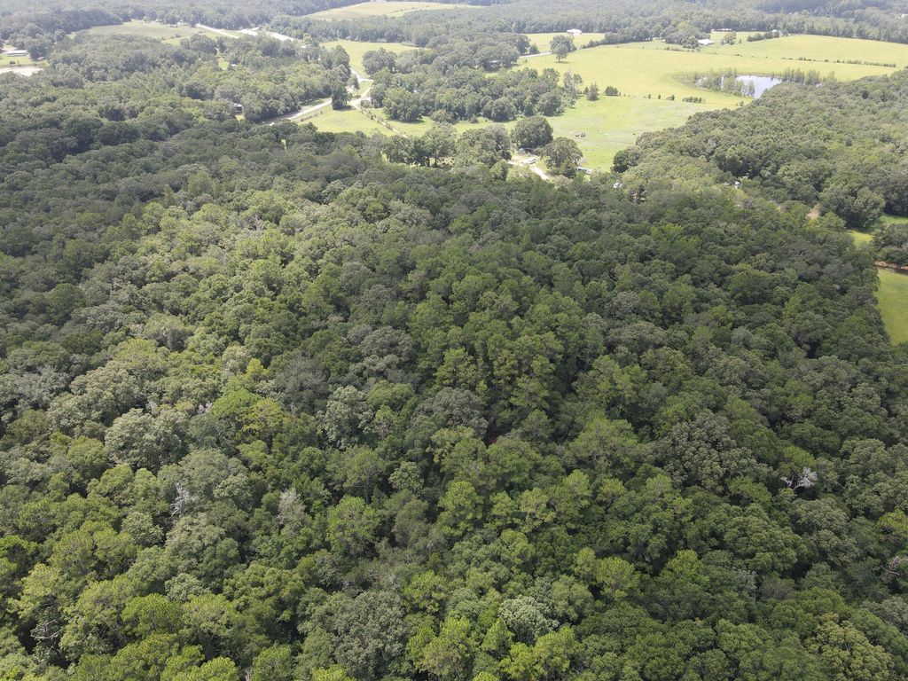 Image 5 of property listing at 3928 E Co Highway 181, Westville, FL 32464