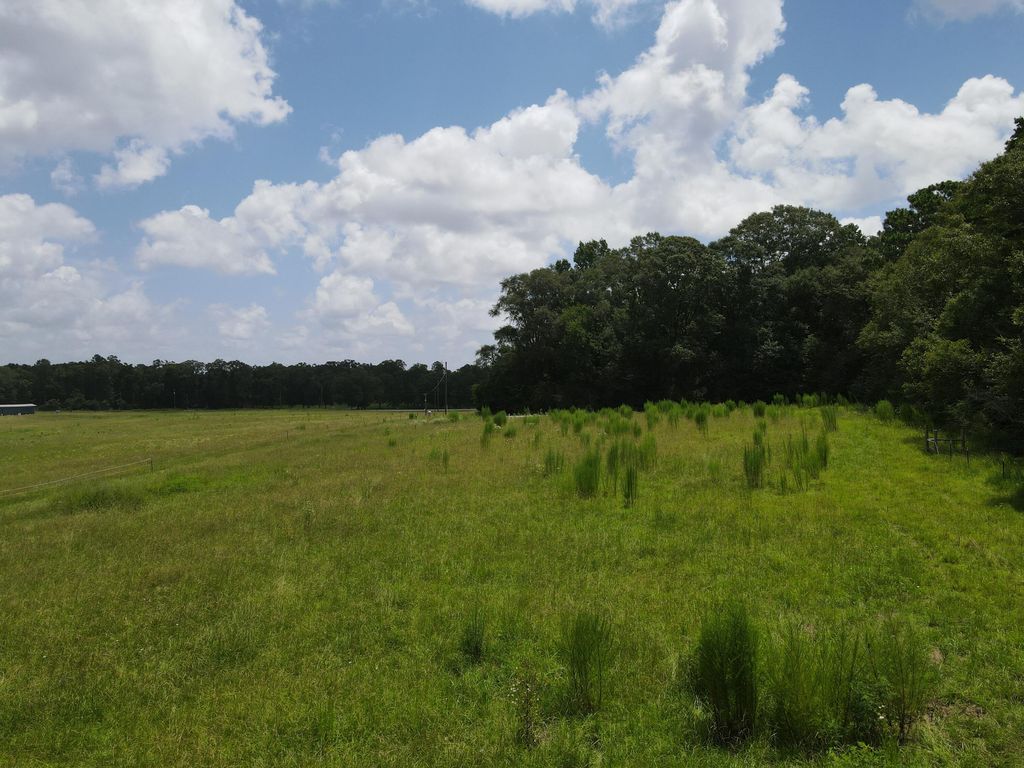 Image 9 of property listing at 3928 E Co Highway 181, Westville, FL 32464
