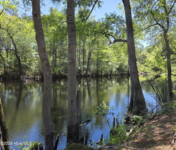12374 Shaw Highway, Burgaw, NC 28425