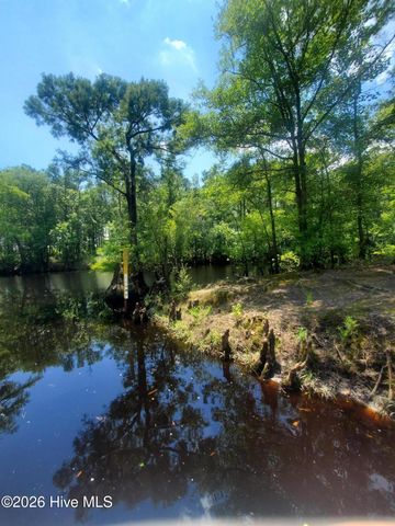 12374 Shaw Highway, Burgaw, NC 28425