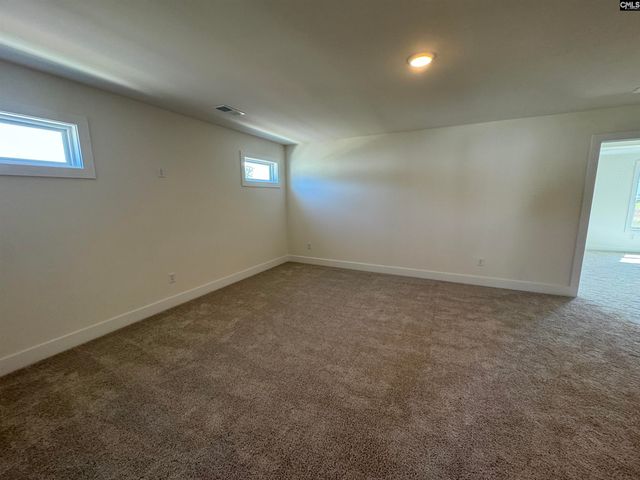 571 Griffon Drive, Chapin, SC 29036