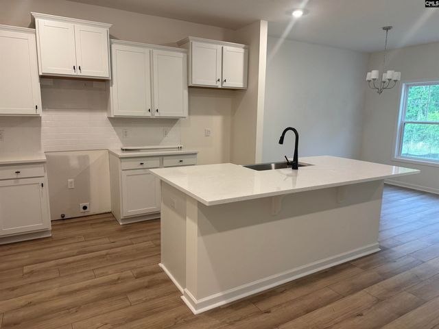 571 Griffon Drive, Chapin, SC 29036