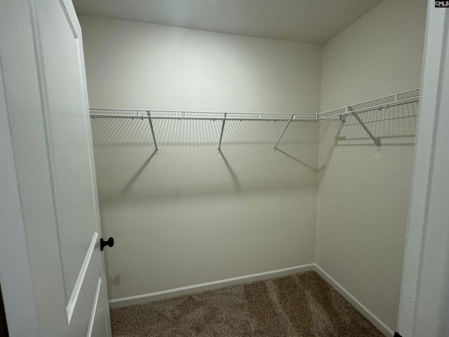 571 Griffon Drive, Chapin, SC 29036