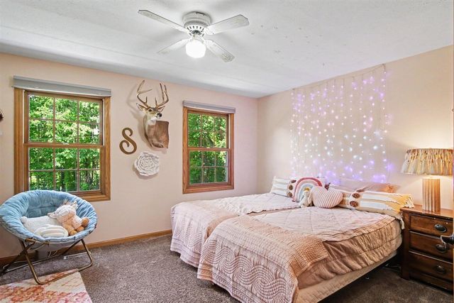 12900 Green Fern Road, Belding, MI 48809