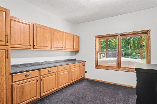 12900 Green Fern Road, Belding, MI 48809