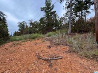 HEARTHSTONE DRIVE, Odenville, AL 35120