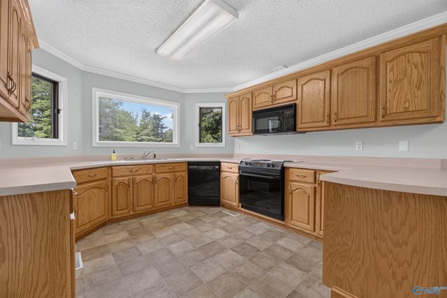 34 Weatherly Avenue, Albertville, AL 35950