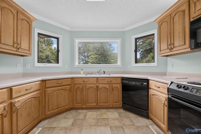 34 Weatherly Avenue, Albertville, AL 35950