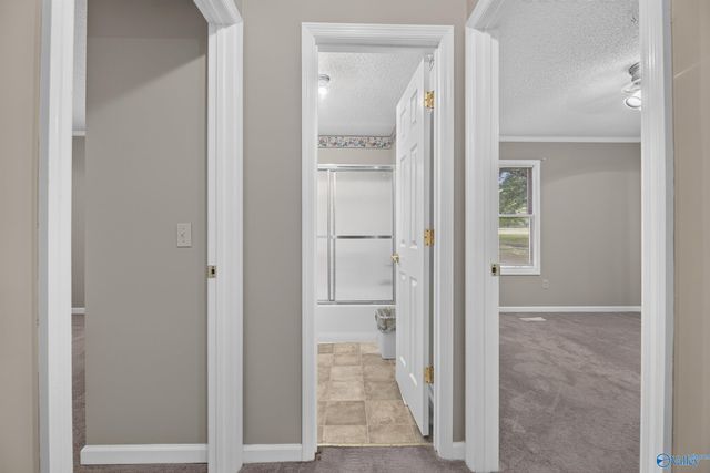 34 Weatherly Avenue, Albertville, AL 35950